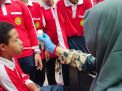 Kemenkes Sebut Sudah 20 Juta Warga Mengikuti Cek Kesehatan Gratis
