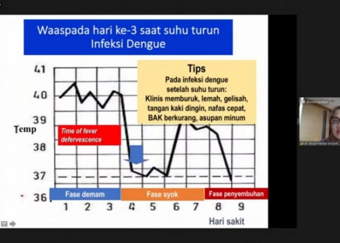 Beda Pola Demam Dengue dan Demam COVID-19, Ini Penjelasan Ahli