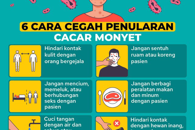Ini Hal Penting Yang Harus Kita Ketahui Mengenai Penyakit Cacar Monyet (Monkey POX)