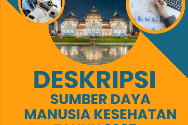 Profil SDMK Aceh Tahun 2025